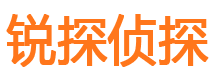 磐安商务调查